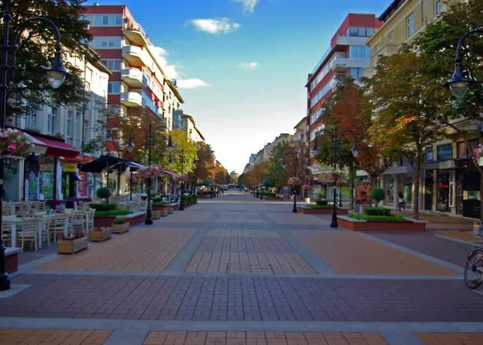 Yha Levitt Smart * ソフィア