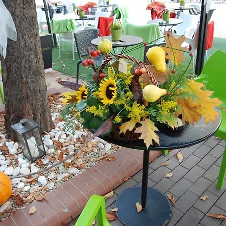 Hostel Yha Levitt Smart Sofie