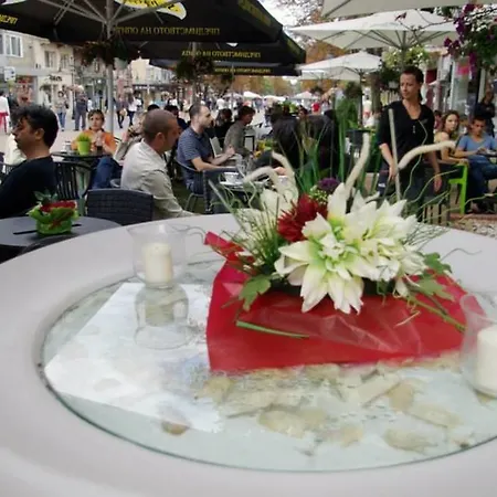 Yha Levitt Smart * Sofie