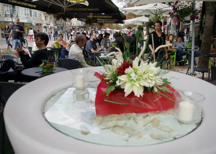 Yha Levitt Smart * 索菲亞