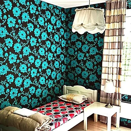 Yha Levitt Smart * Sofia