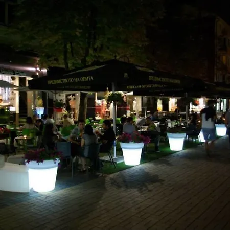 Yha Levitt Smart * Sofia